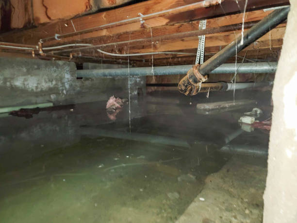Best Flooded house restoration  in Brookings, SD