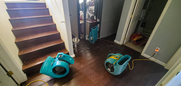 Best 24/7 water damage repair  in Brookings, SD