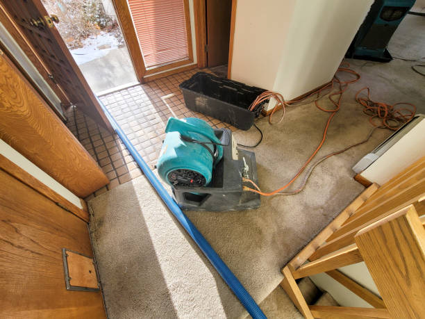 Best Carpet water damage restoration  in Brookings, SD
