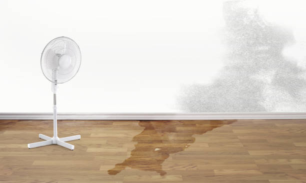 Best Local water damage restoration  in Brookings, SD