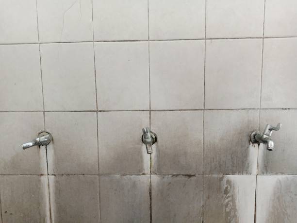 Best Sewage cleanup and water damage restoration  in Brookings, SD