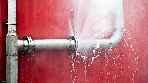 Best Flood restoration services  in Brookings, SD